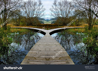 geometric composition in the enchanted forest road, idyllic plant allegory, mandala, abstract surreal photography, abstract naturalism geometric composition in the enchanted forest road, idyllic plant allegory, mandala, abstract surreal photography, abstract naturalism
