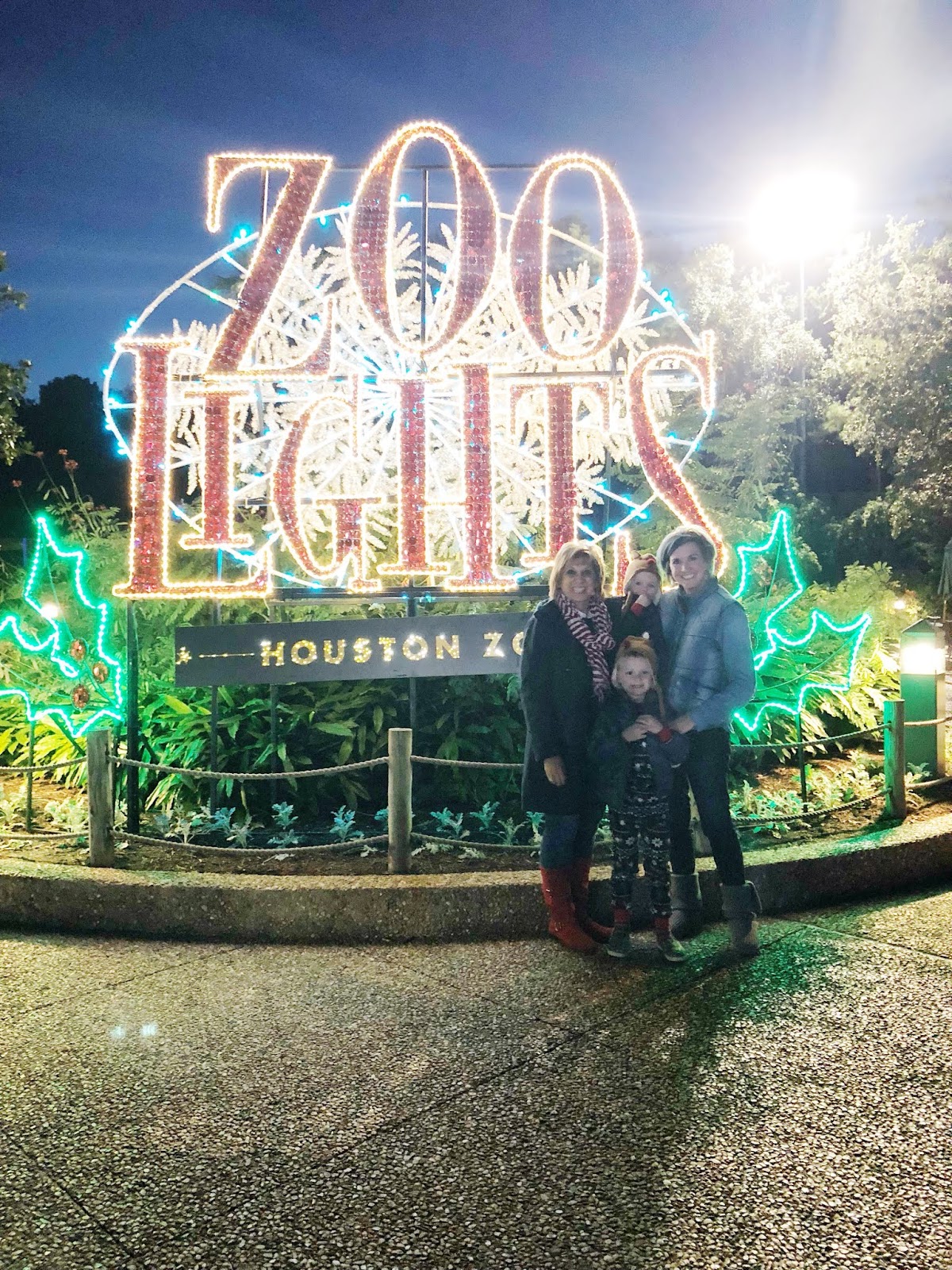 Crazy Cozads Houston Zoo Lights 2018