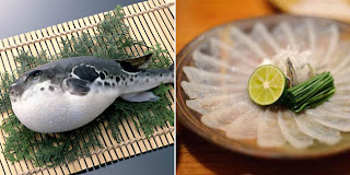 Ikan Paling Beracun di Dunia ( Ikan Fugu )