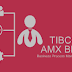 TIBCO AMX BPM Training Videos