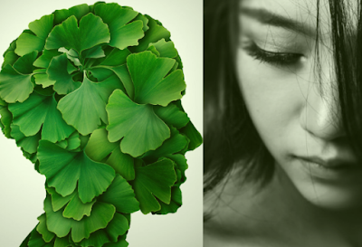 Home Remedies For Bipolar Disorder Home Remedies For Bipolar Disorder