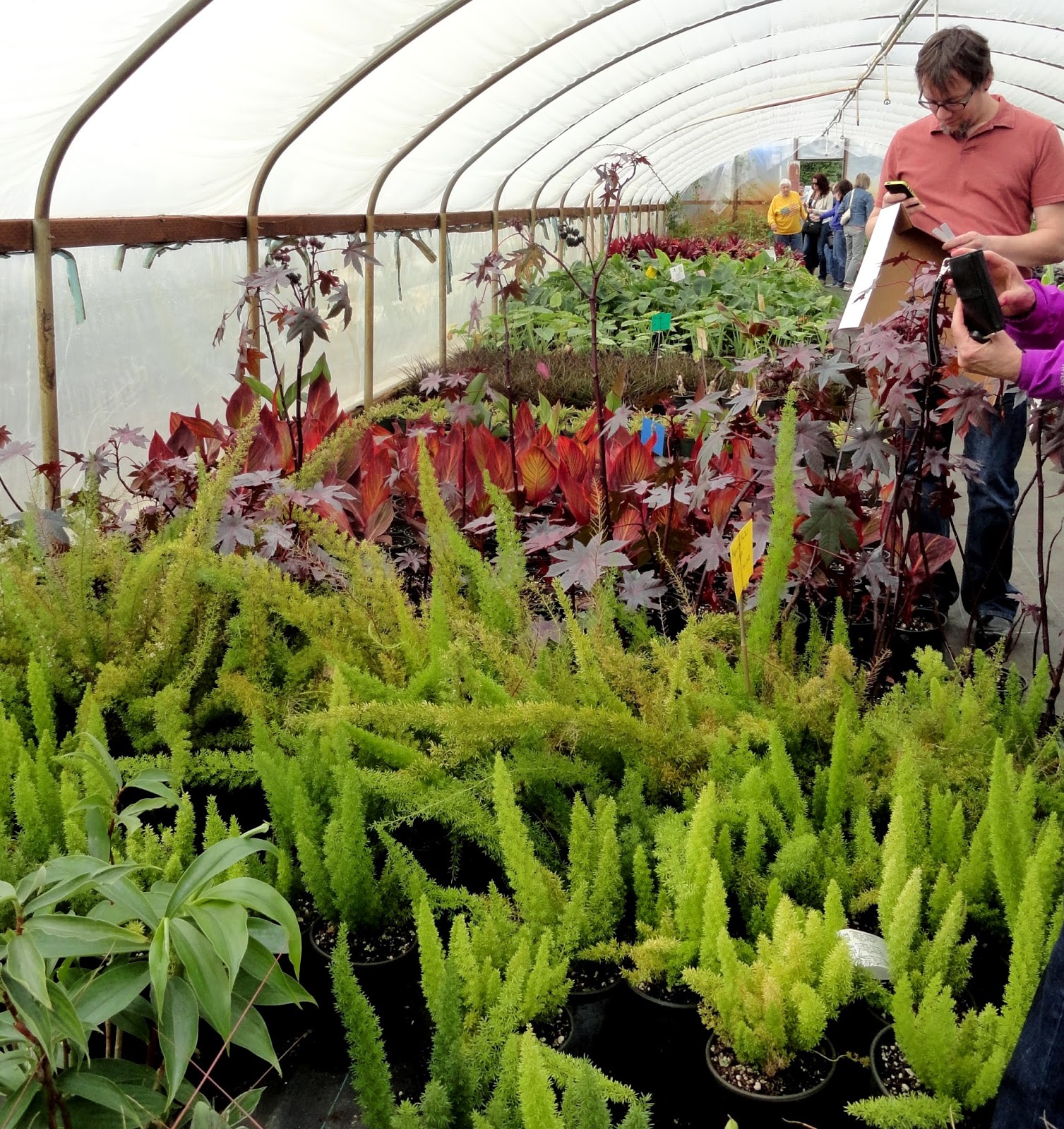 Danger garden rare plant research 2014 style 