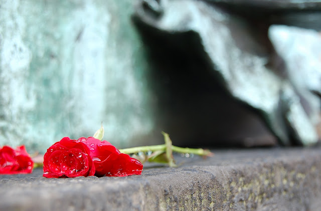 Maria Montessori Would Turn Over In Her Grave! {Confessions of a Montessori Mom} Maria Montessori Would Turn Over In Her Grave! {Confessions of a Montessori Mom}