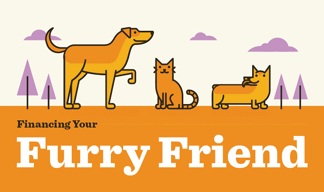 Financing Your Furry Friend