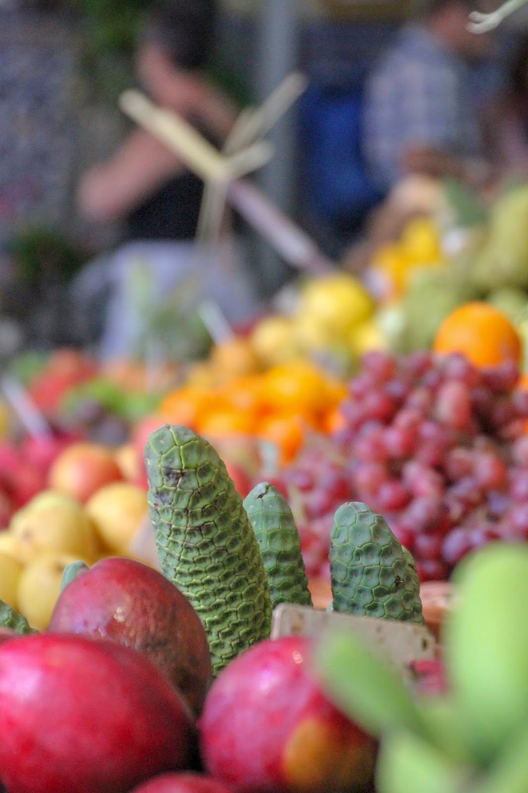 Funchal - Madère Marché des laboureurs
