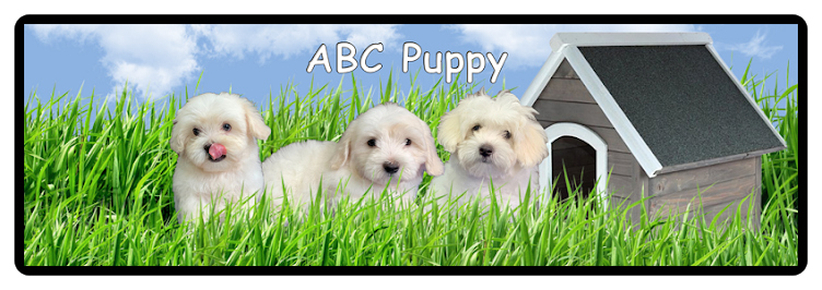 ABCpuppy Reviews
