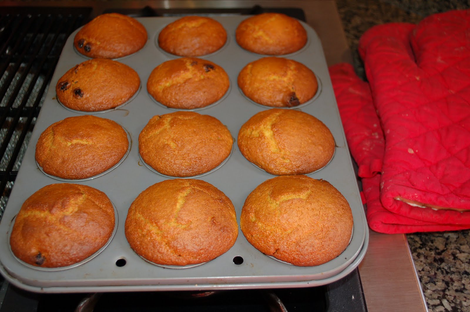 Omniblend Blenders orange blender muffins