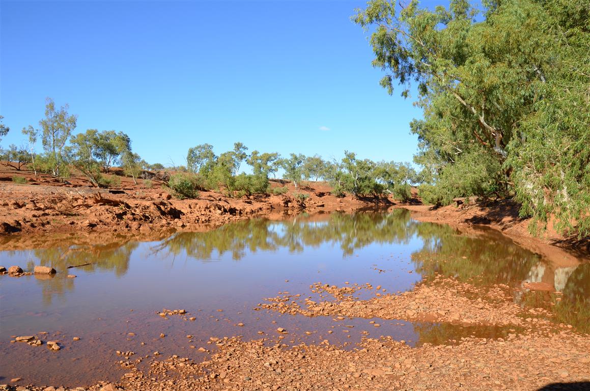 Australien 2013 Mt. AugustusTom Price
