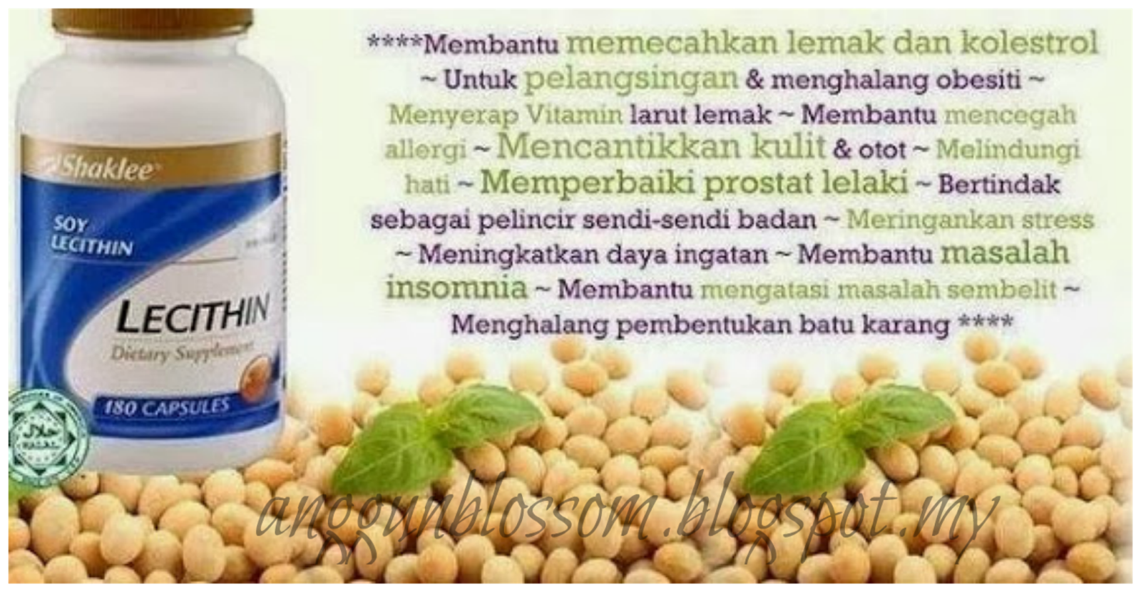 LECITHIN DAN MANFAATNYA Siti Balkis Official Blog
