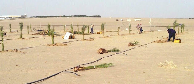 وظائف فى دولة الكويت وظائف فى دولة الكويت
