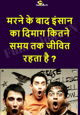 दिमाग वाली पहेलियाँ - मरने के बाद इंसान का दिमाग कितने समय तक जीवित रहता है ? दिमाग वाली पहेलियाँ - मरने के बाद इंसान का दिमाग कितने समय तक जीवित रहता है ?