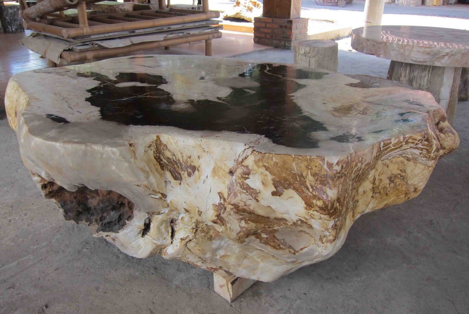 IndoGemstone: Petrified Wood Table