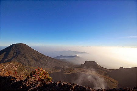 Pemandangan indah Gunung Gede Pemandangan indah Gunung Gede