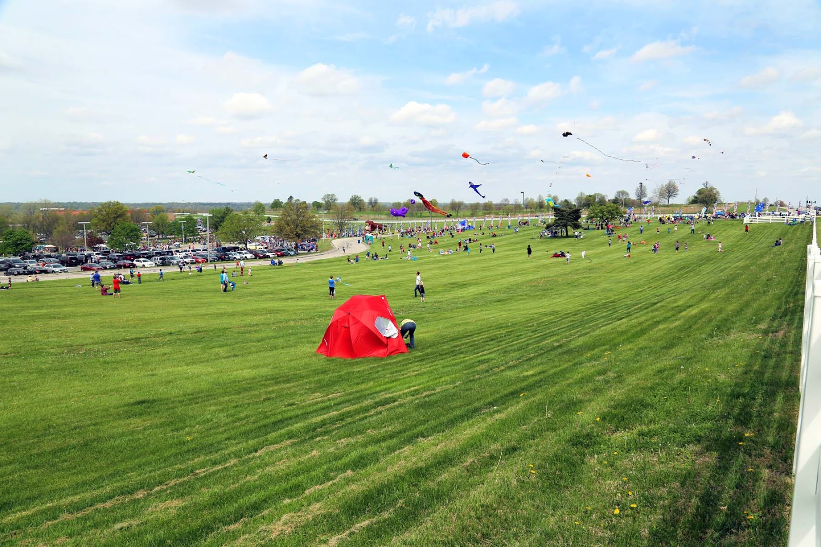 John and Sigrid's Adventures Annual Kite Fest at Longview Community