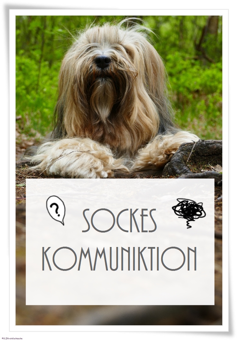hunde winseln bedeutung