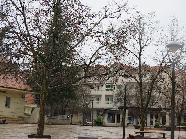 Ifrane: Ciudad residencial