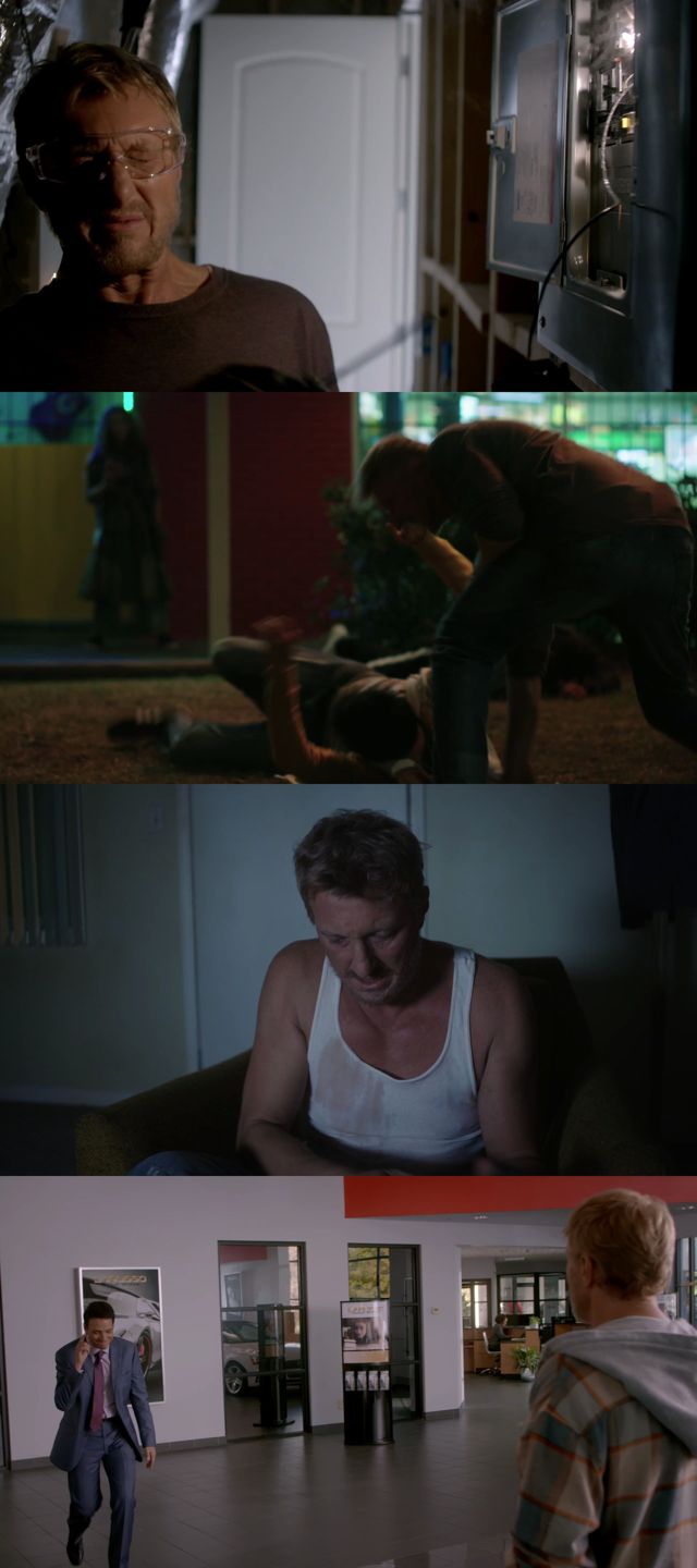 Cobra Kai Temporada 1 Completa HD 720p Latino Dual