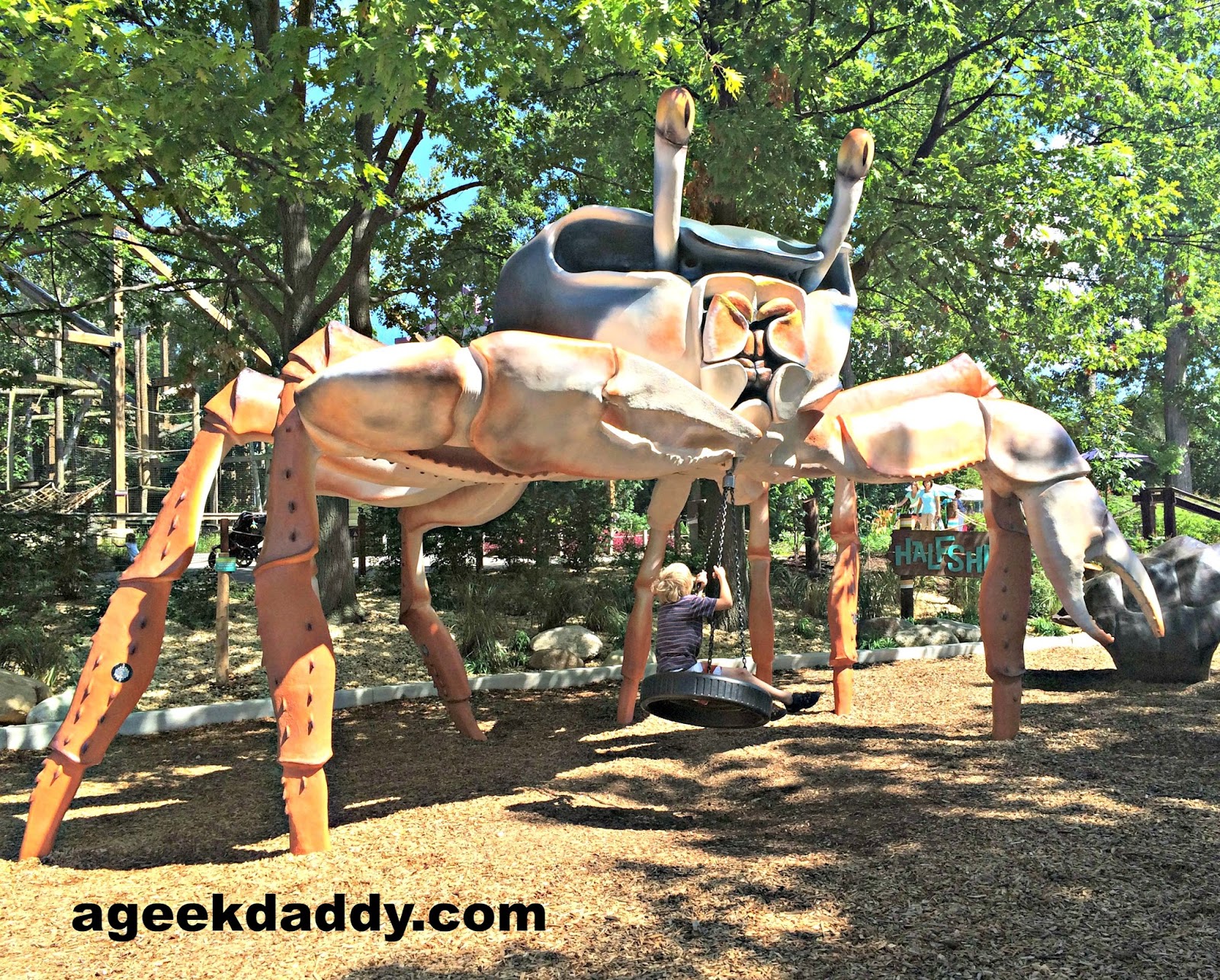 A GEEK DADDY Toledo Zoo named BEST ZOO in the United States