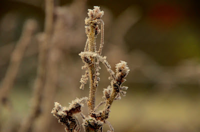 Winter, mùa đông, tél, dimër, zima, зима, 冬季, talv, talvi, Winter, mùa đông, tél, dimër, zima, зима, 冬季, talv, talvi, hiver, χειμώνας, inverno, ウィンター, ziema, žiema, iarnă, зима, vinter, zimné, invierno, zimní, kış, tél,