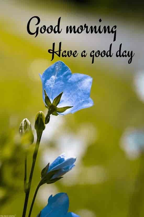 inspirational good morning messages