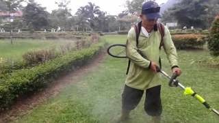 Lowongan Kerja Ke Malaysia Pemotong Rumput Taman