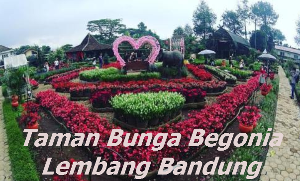 Taman Begonia