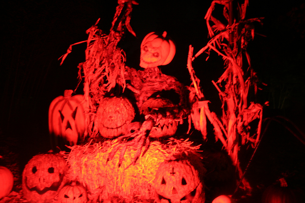 The Blog Ghoul Next Door Halloween 2011