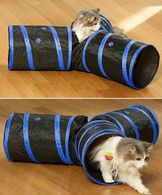 Cat Gives Dog Lots Of Hugs Cat Gives Dog Lots Of Hugs