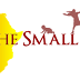 Job Opportunity at The Small Things Organisation - Communication and Visitor Coordinator