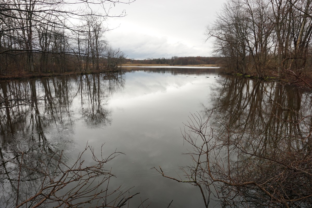 Harriman Hiker Harriman State Park and Beyond Celery Farm Loop