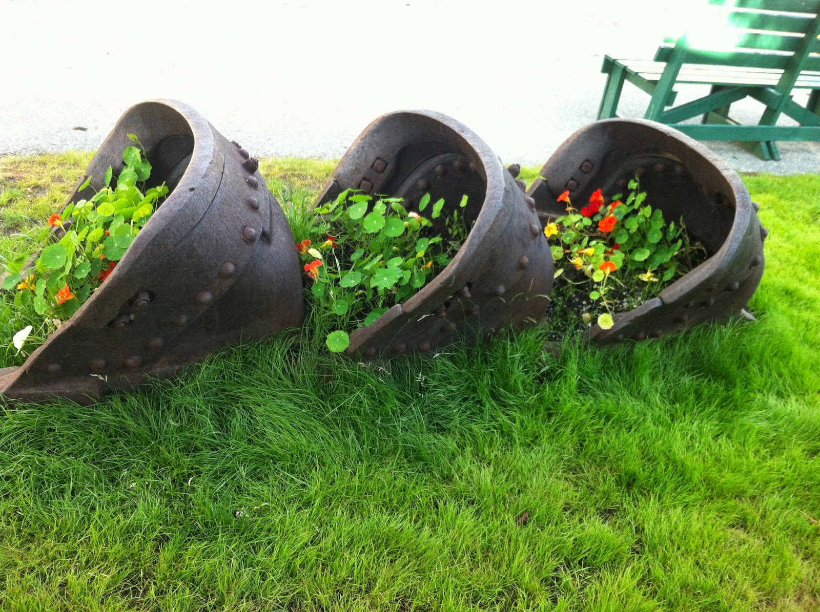 Heavy dredge buckets are used in Fairbanks for floral displays in the summer. Actual Alaska dredge buckets in Fairbanks.