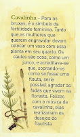 cavalinha
