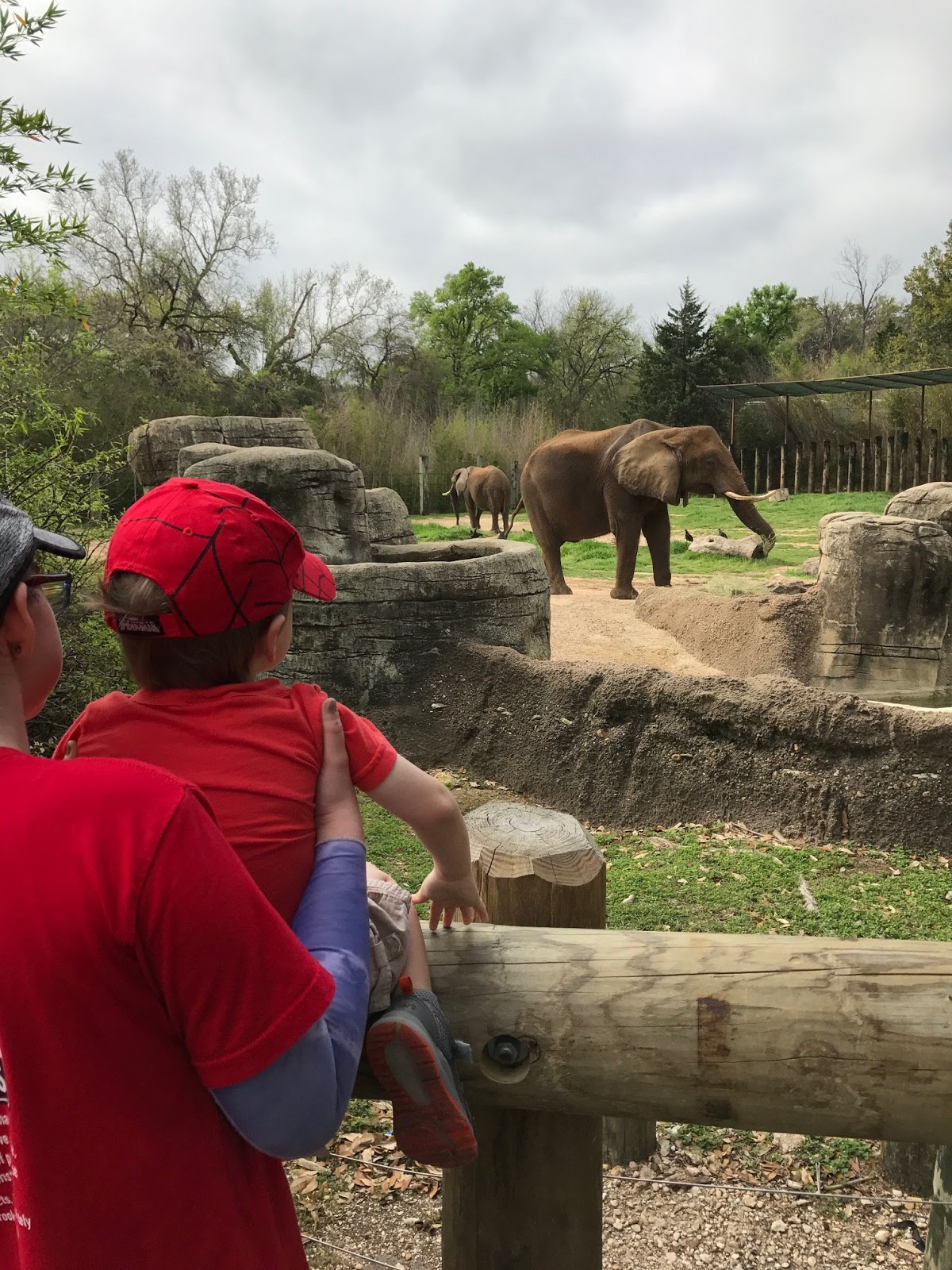 Cummins Life Fun Family Day at Cameron Zoo
