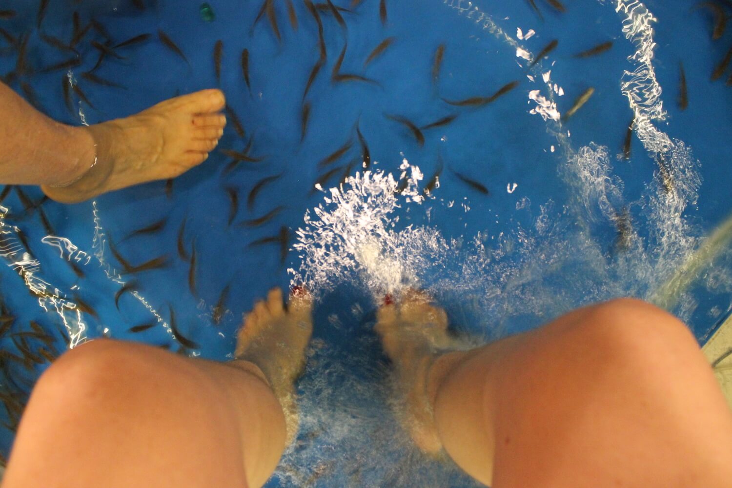 doctor fish in ho chi minh city