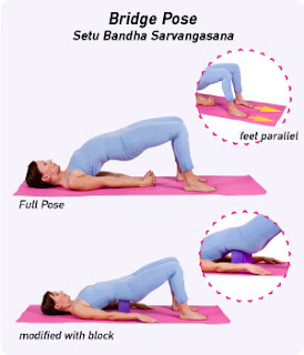 Bridge pose Bridge pose