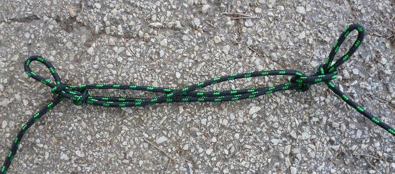 dogshank knot