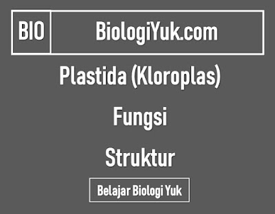 Plastida (Kloroplas): Fungsi dan Struktur Lengkap Plastida (Kloroplas): Fungsi dan Struktur Lengkap