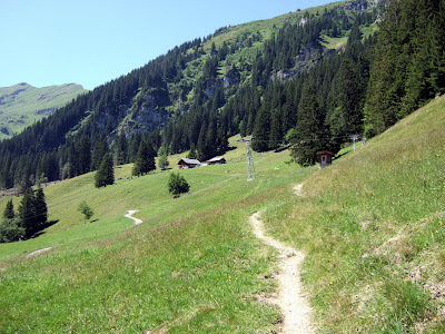 Alpine meadows above the Kiental