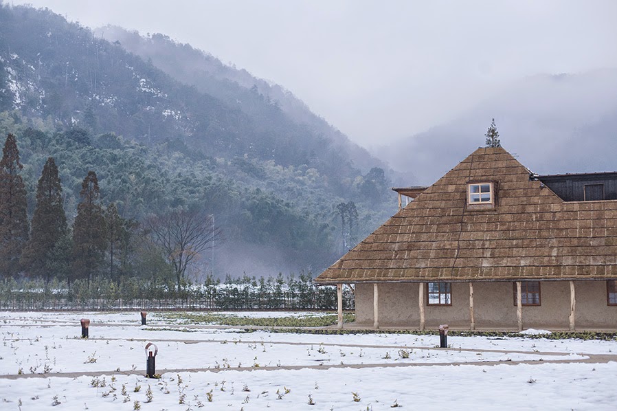 K | Diary: La Collina