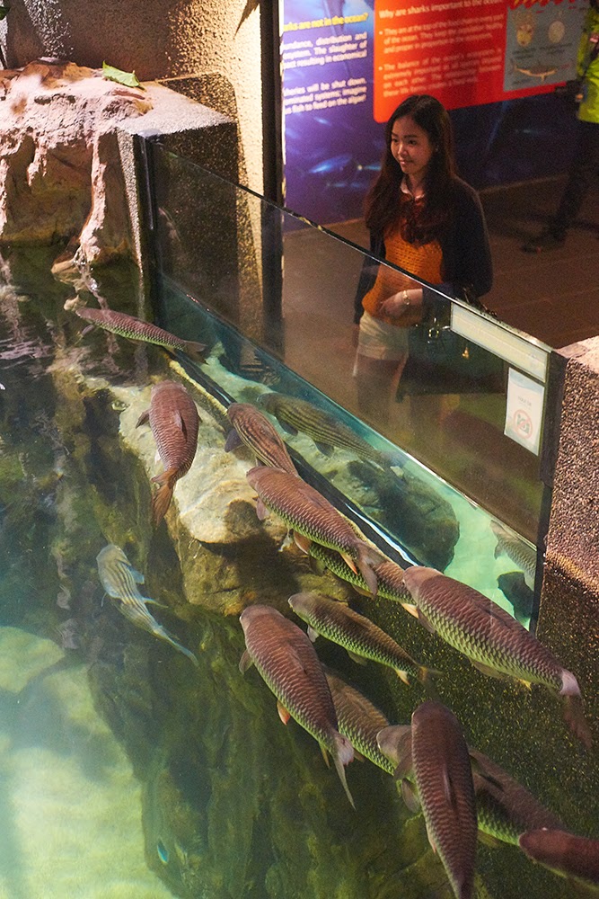 Aquaria KLCC