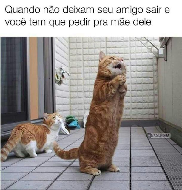 memes engraçados memes engraçados