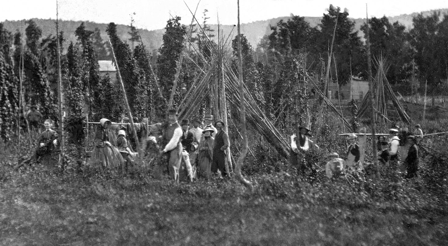 View from the back street Hops, Fall is coming, Eaton & hops history!