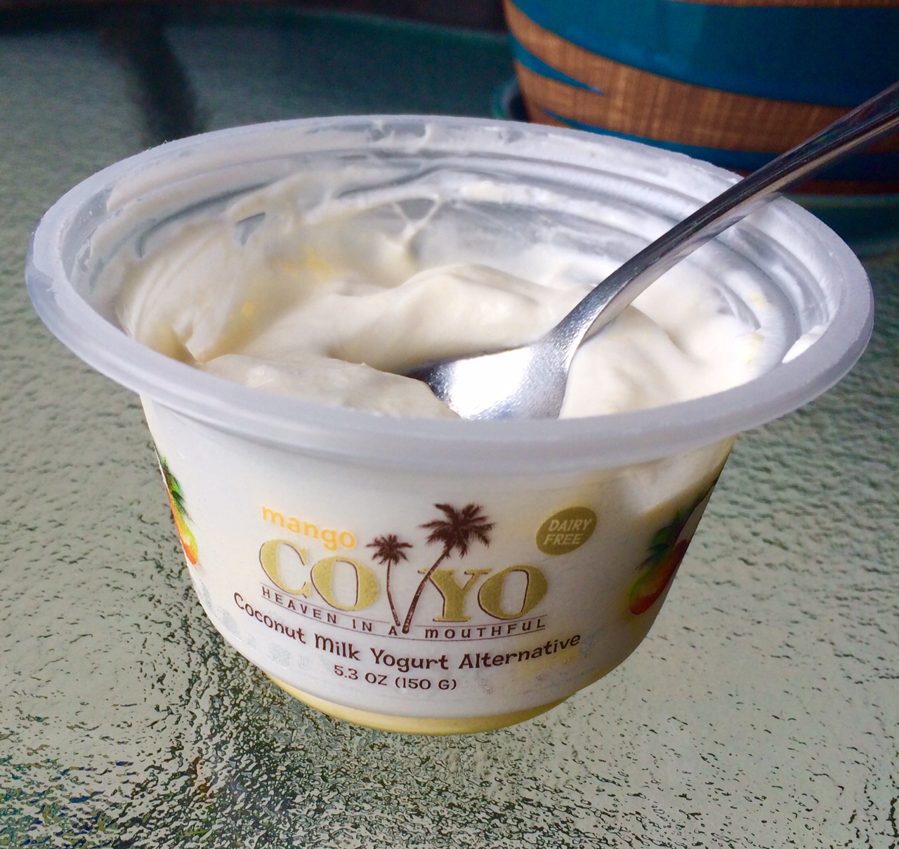 Vegan Noms New Vegan Yogurts Hemp and Coconut!