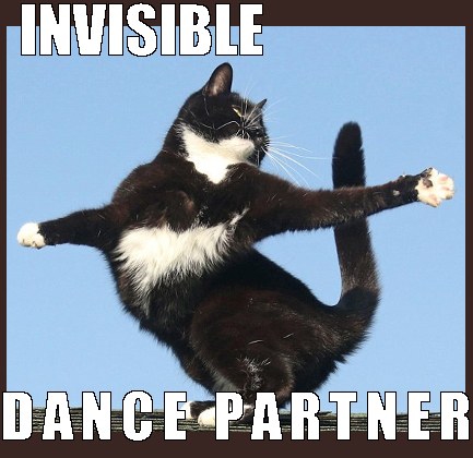 invisible dancing cat partner