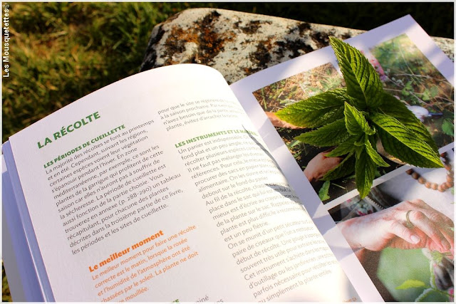 Livre 250 remèdes naturels à faire soi-même - édition Terre Vivante, Blog beauté Les Mousquetettes©