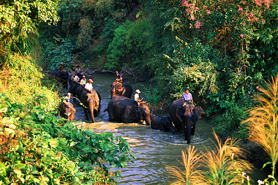 Myanmar Elephants ride