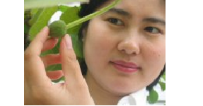 Male Infertility Natural Treatments Male Infertility Natural Treatments