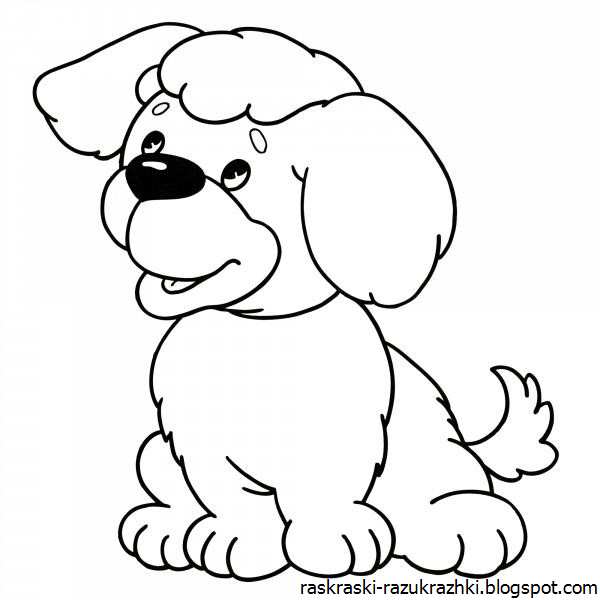Собачка Раскраска Для Детей 3 4
