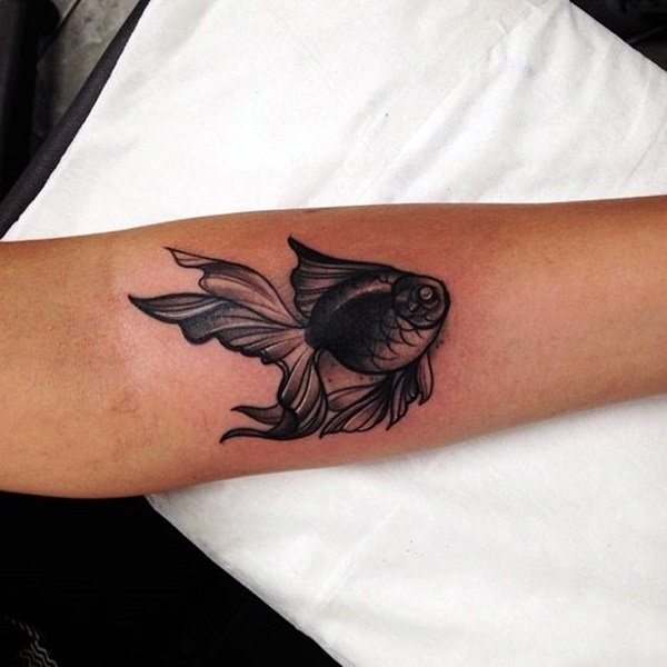Tatuagens de peixes para as mulheres Tatuagens de peixes para as mulheres