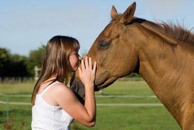 Equine Therapy enhances work done in more traditional modalities.